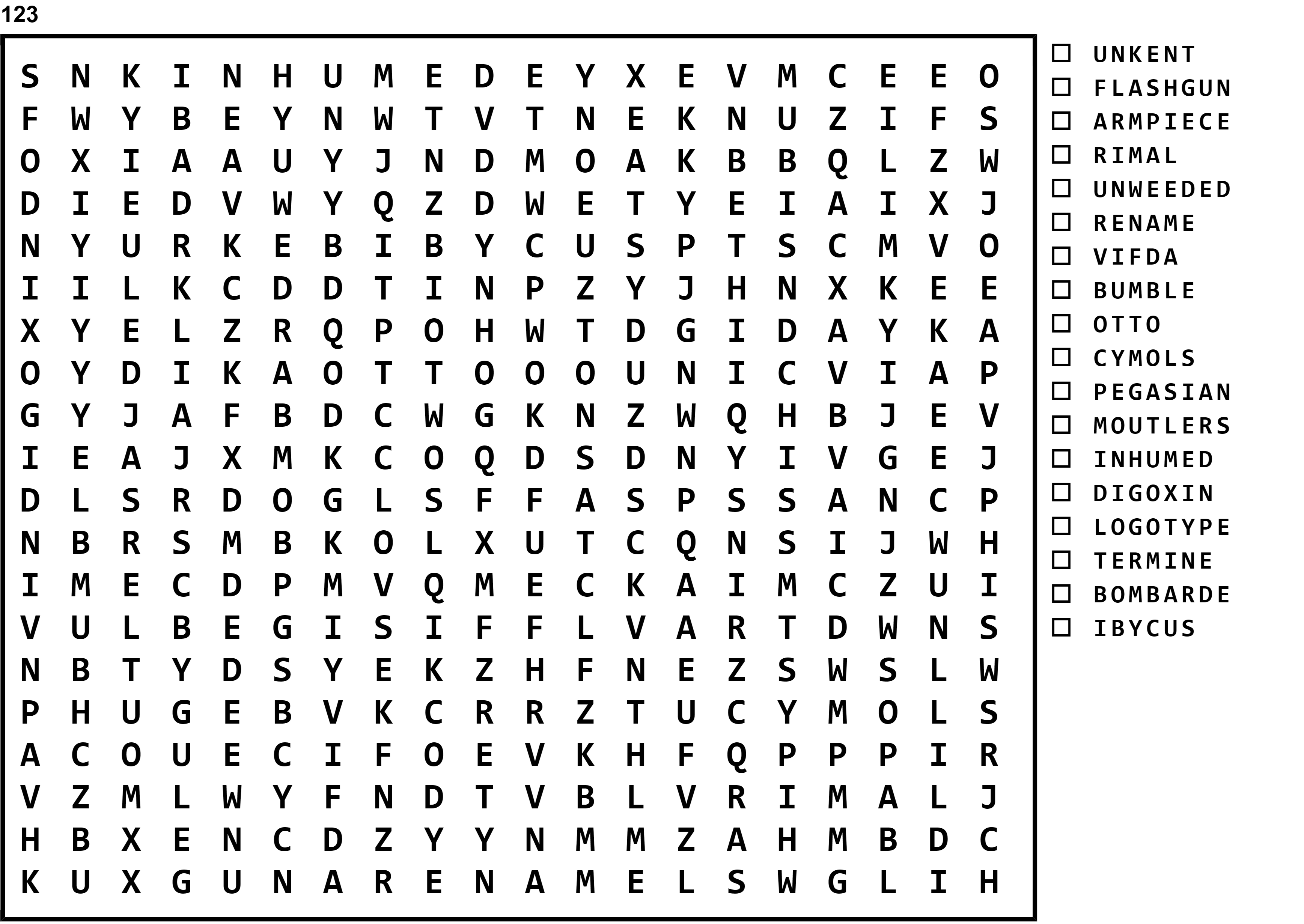 Word Search Puzzle Image