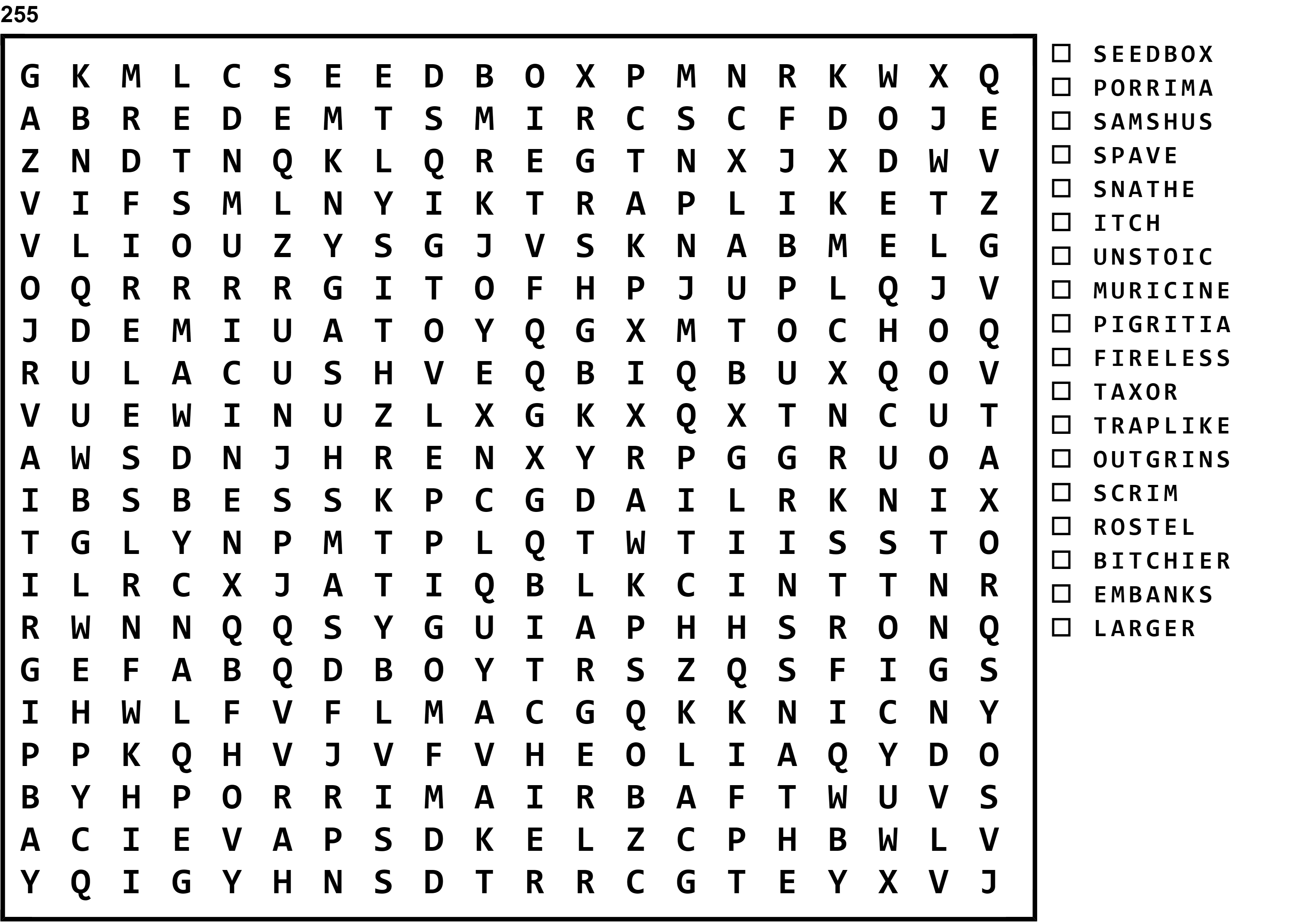Word Search Puzzle Image