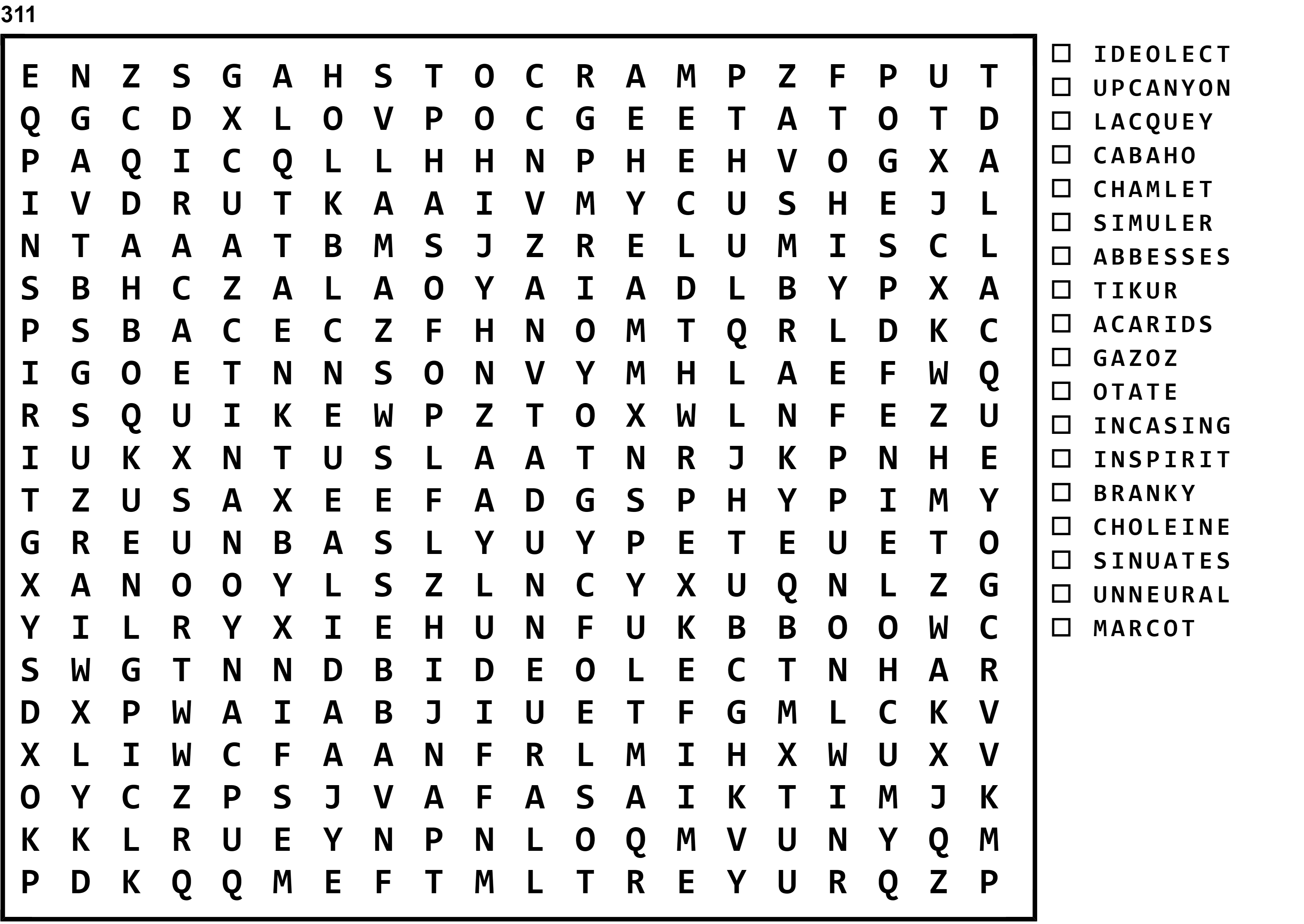 Word Search Puzzle Image