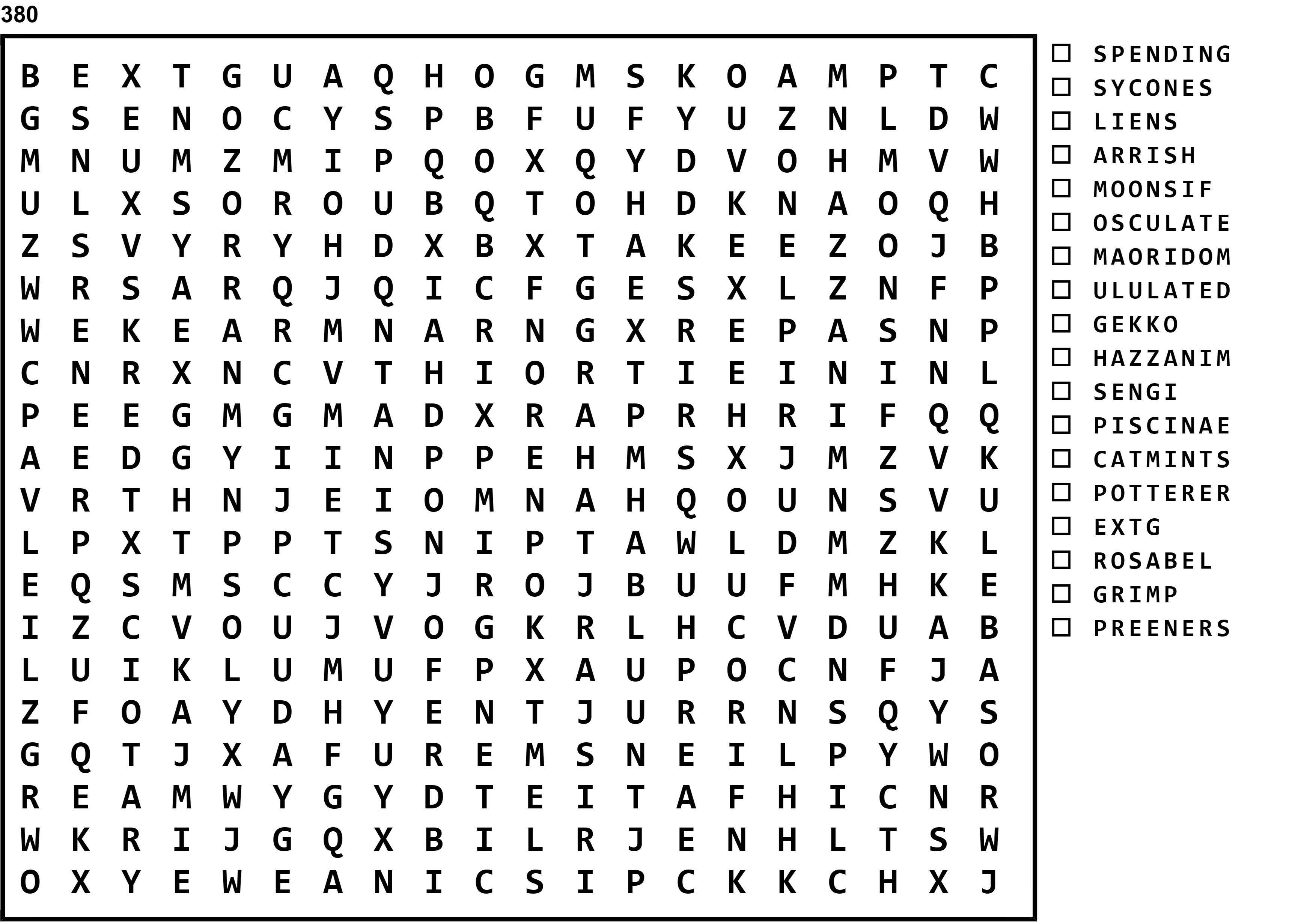 Word Search Puzzle Image