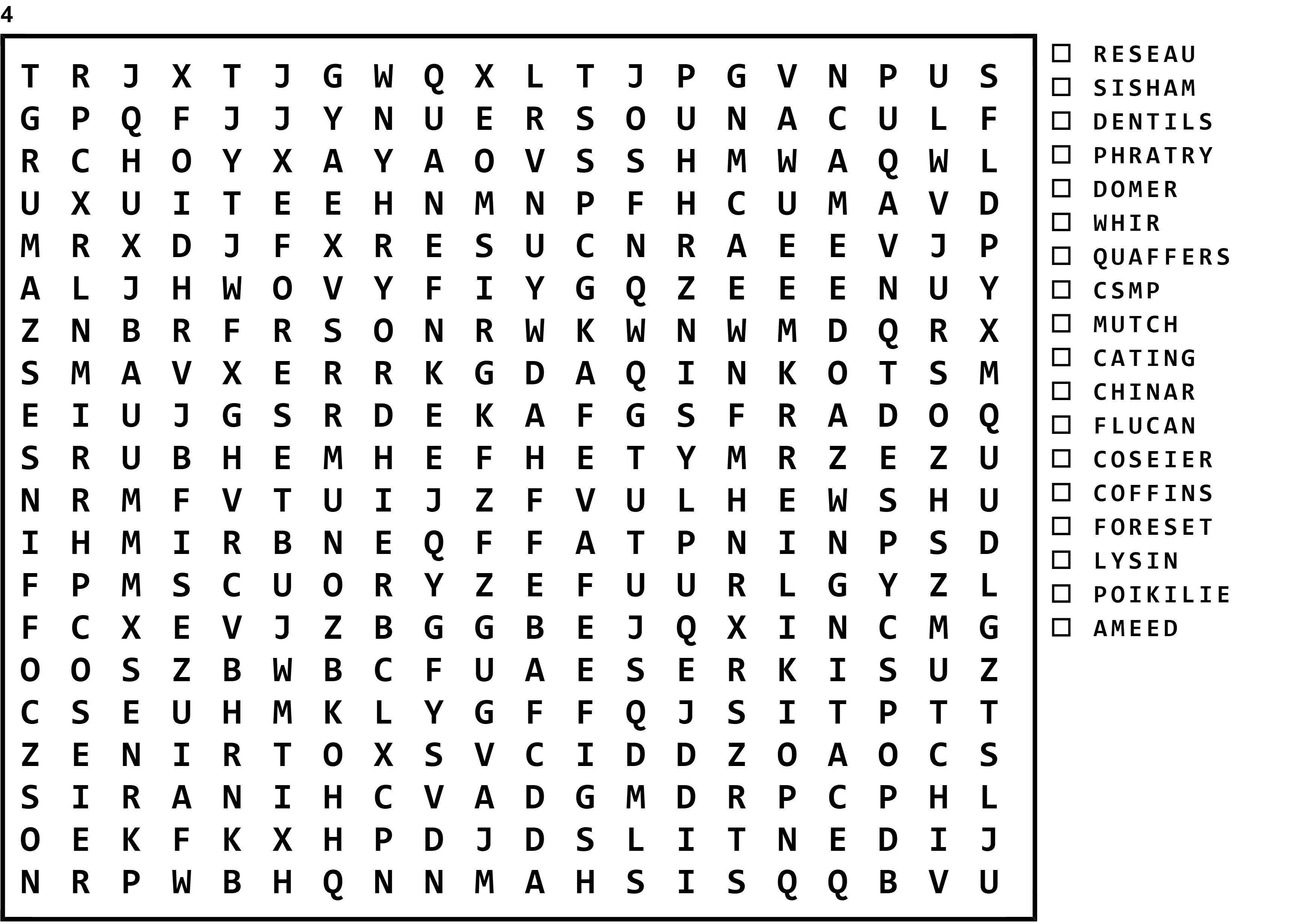 Word Search Puzzle Image