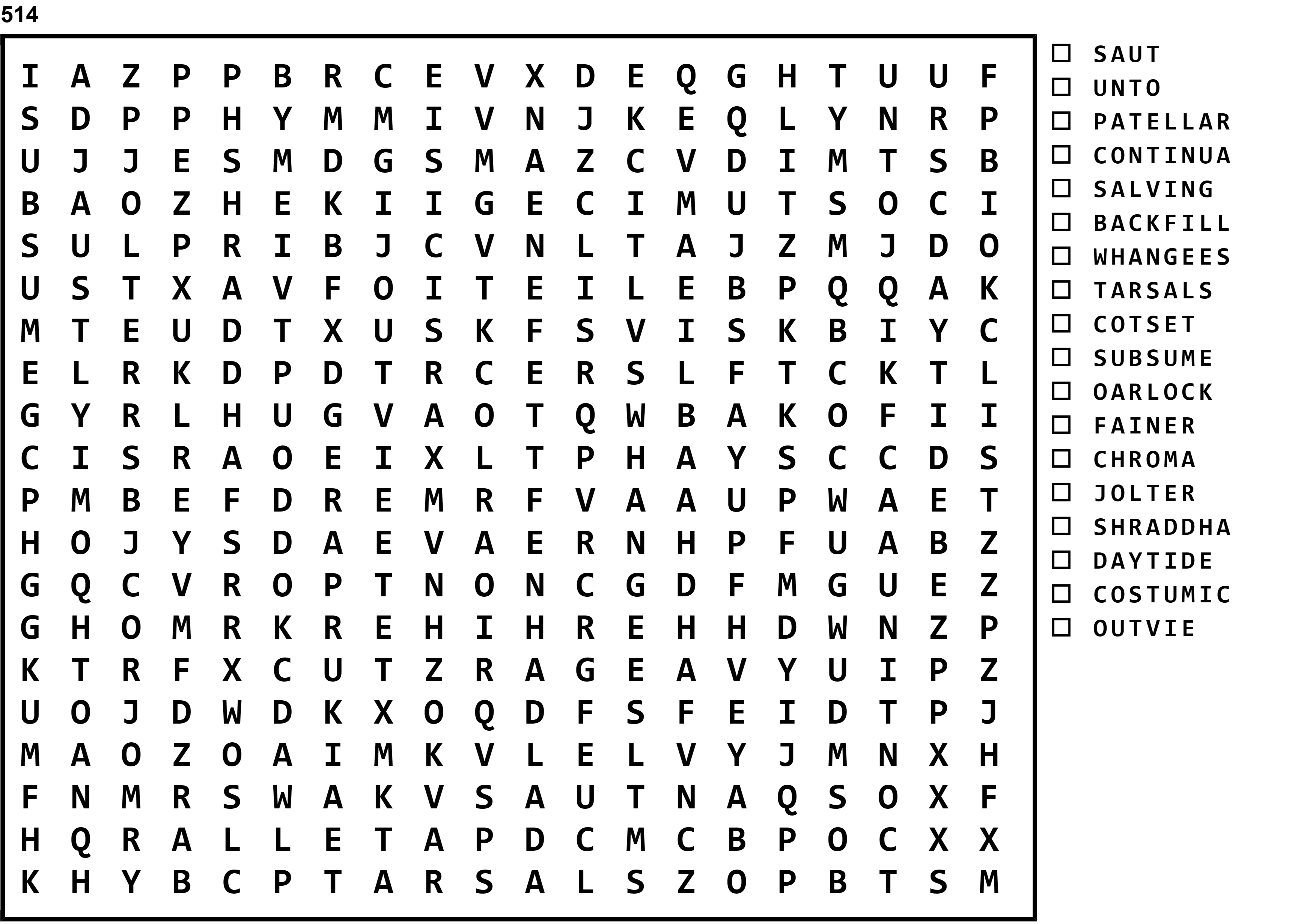 Word Search Puzzle Image