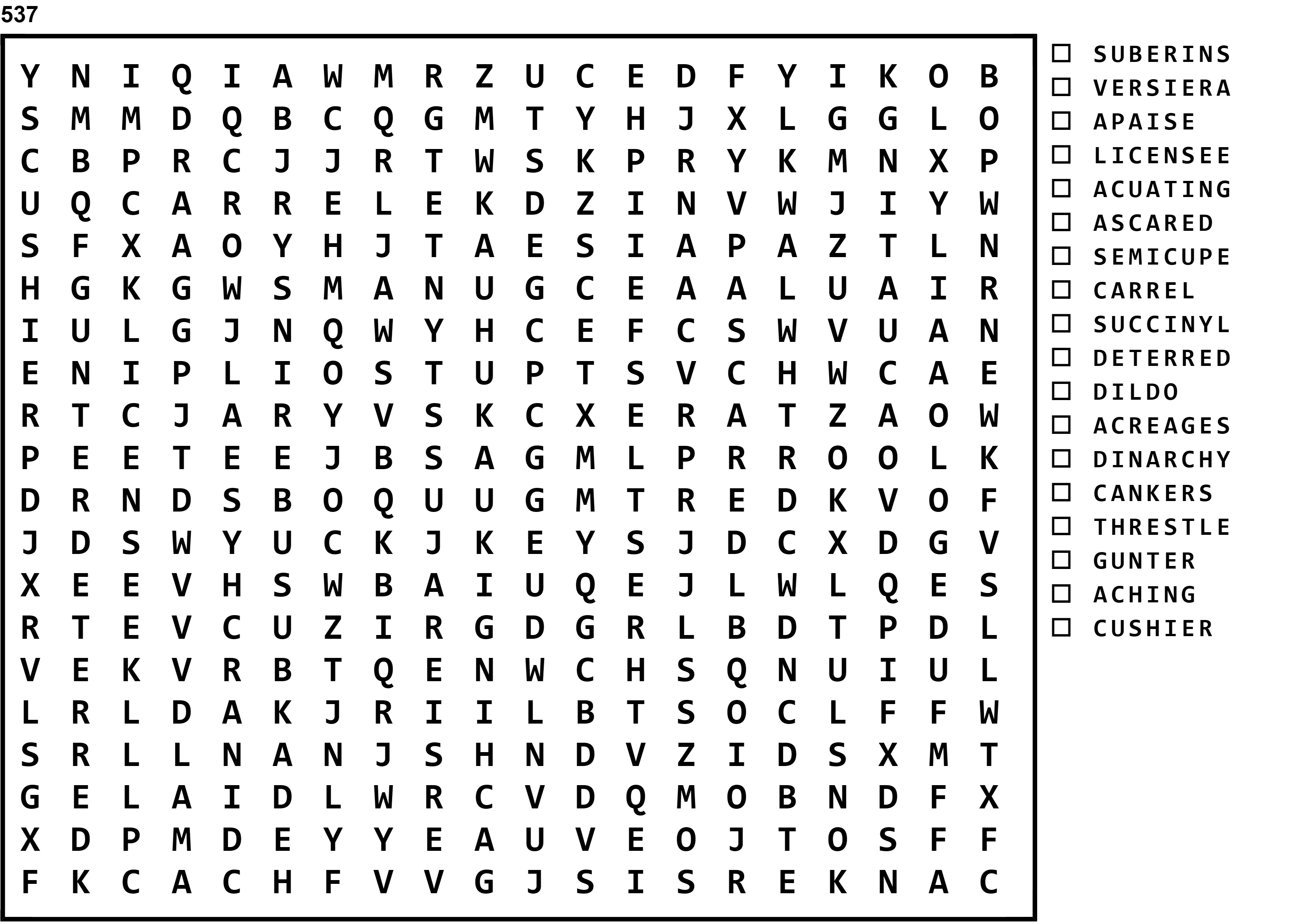 Word Search Puzzle Image