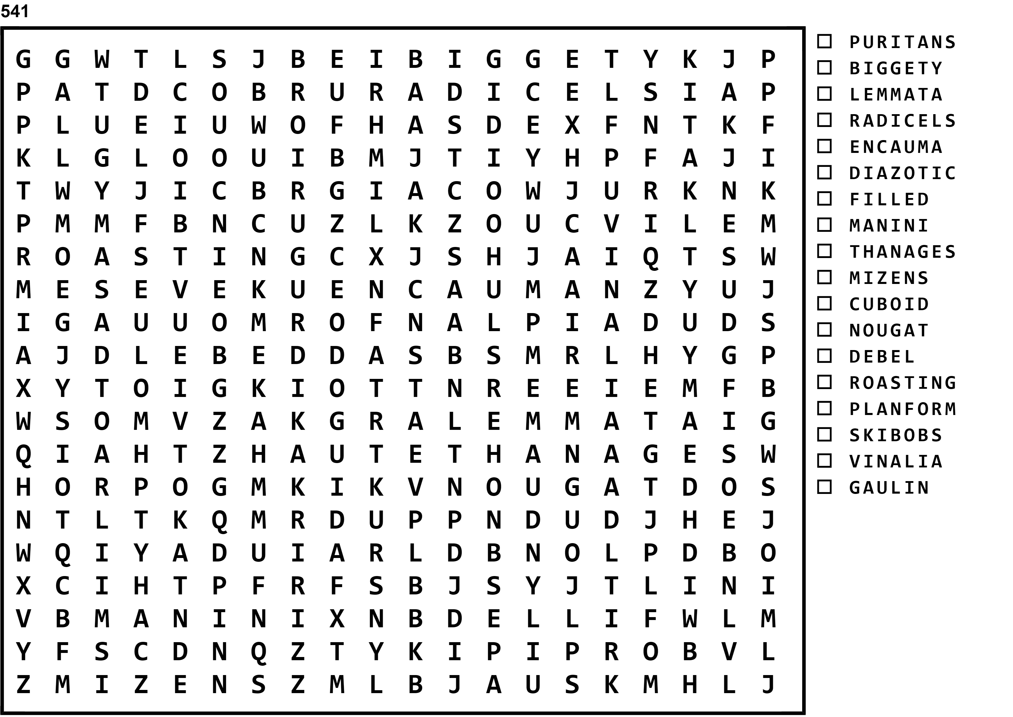 Word Search Puzzle Image