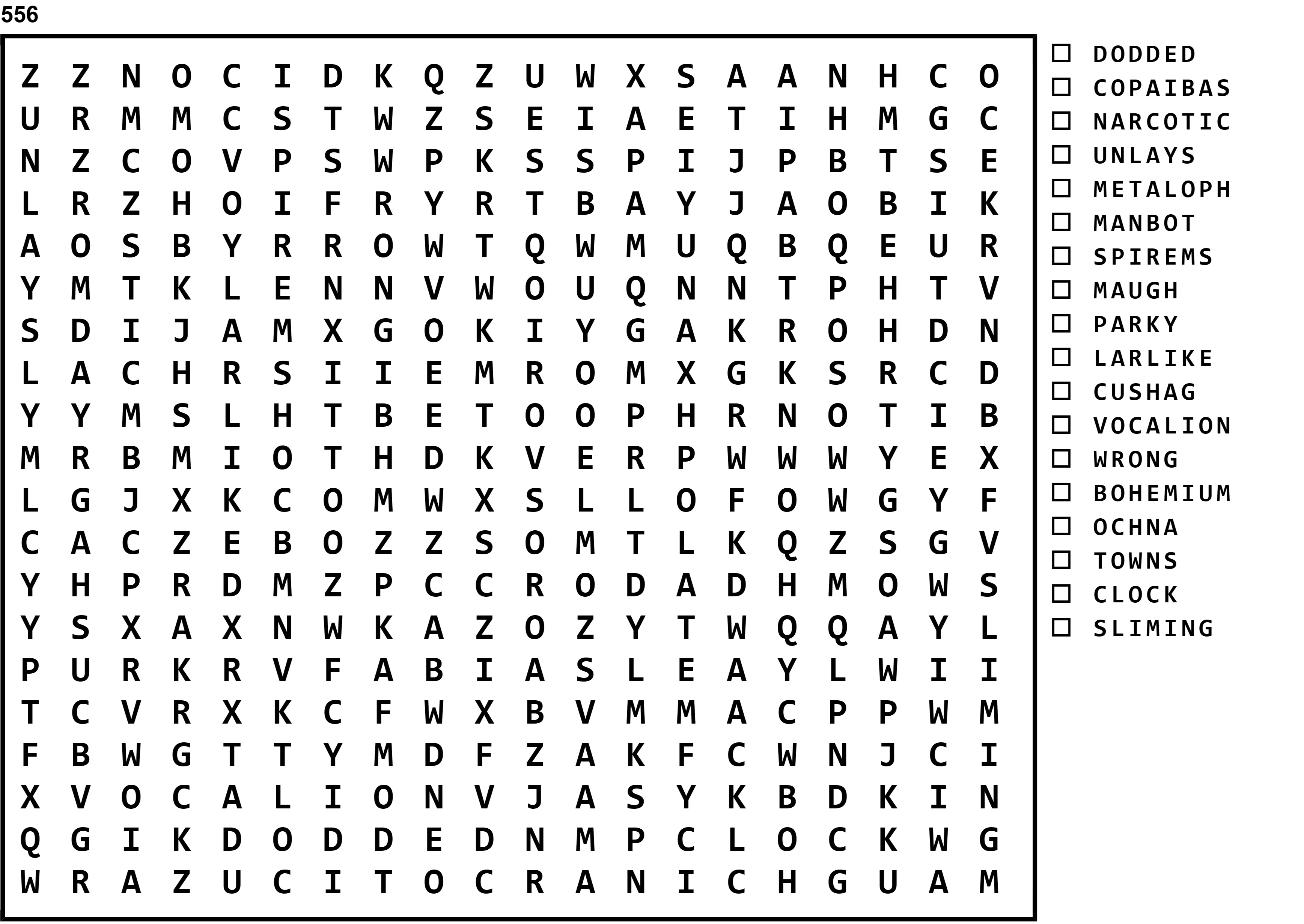 Word Search Puzzle Image