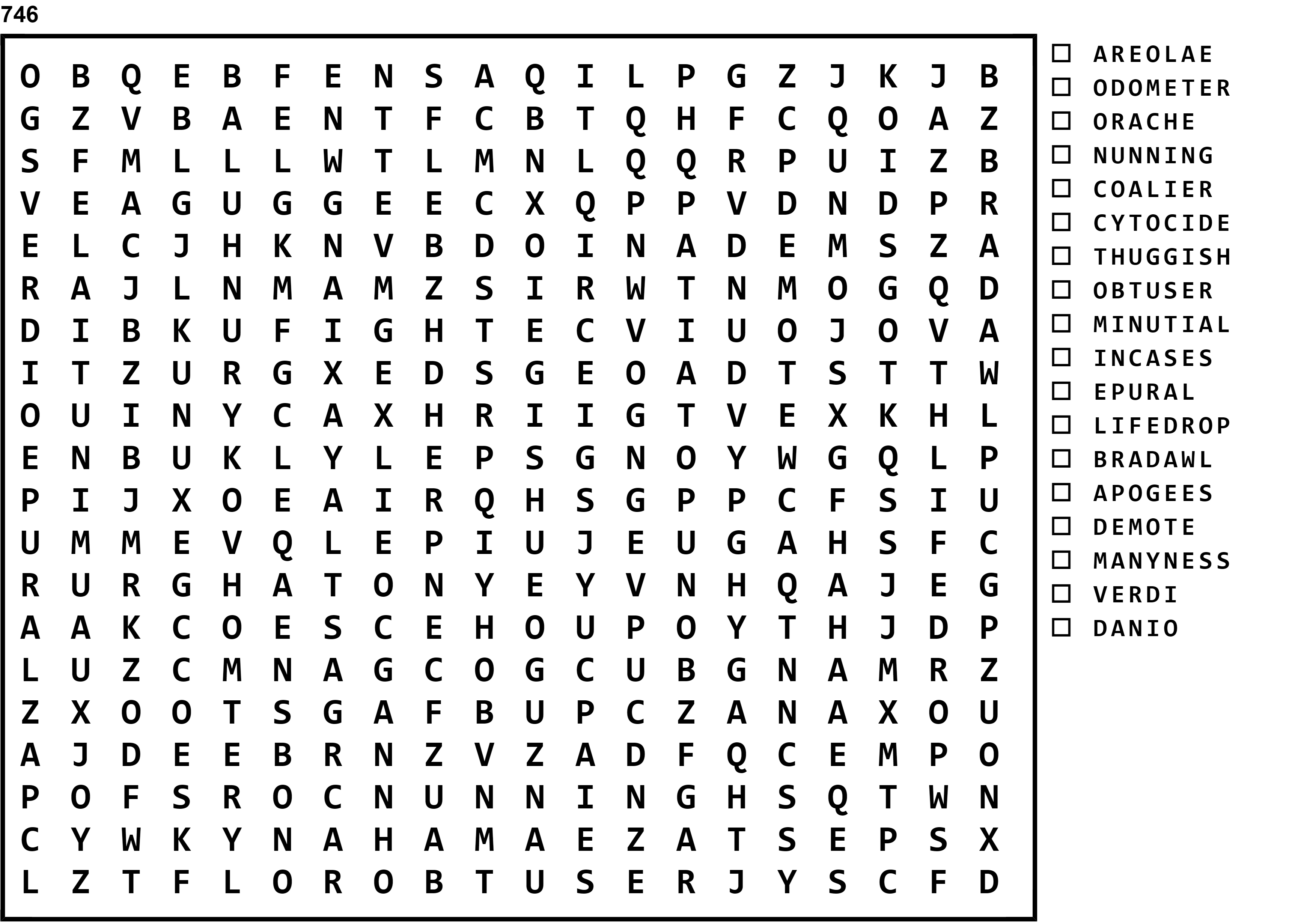 Word Search Puzzle Image