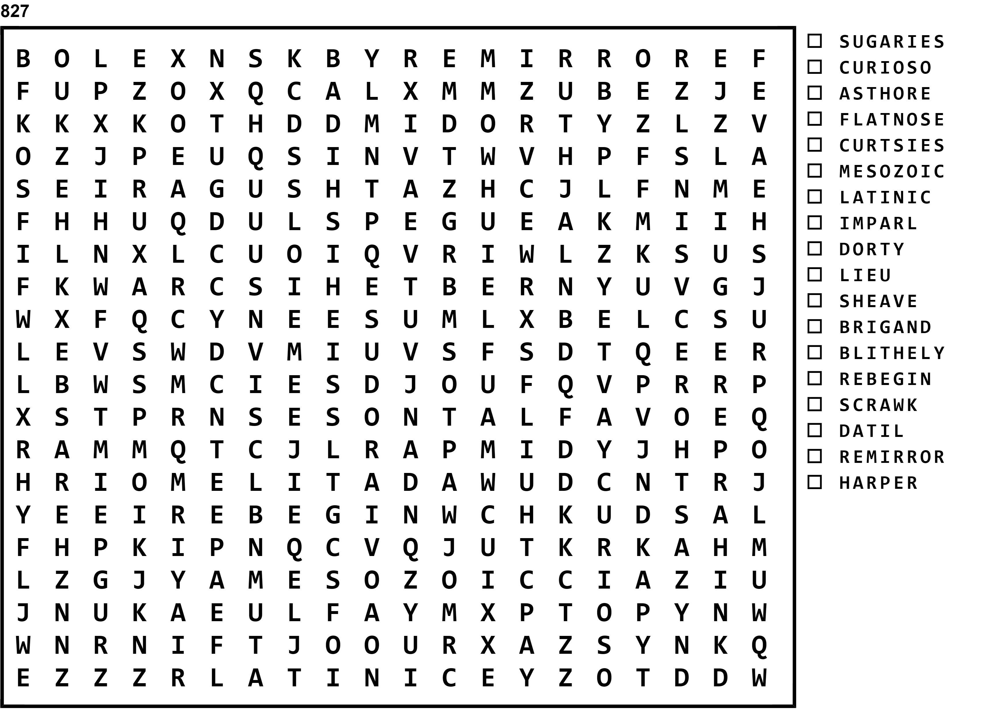 Word Search Puzzle Image