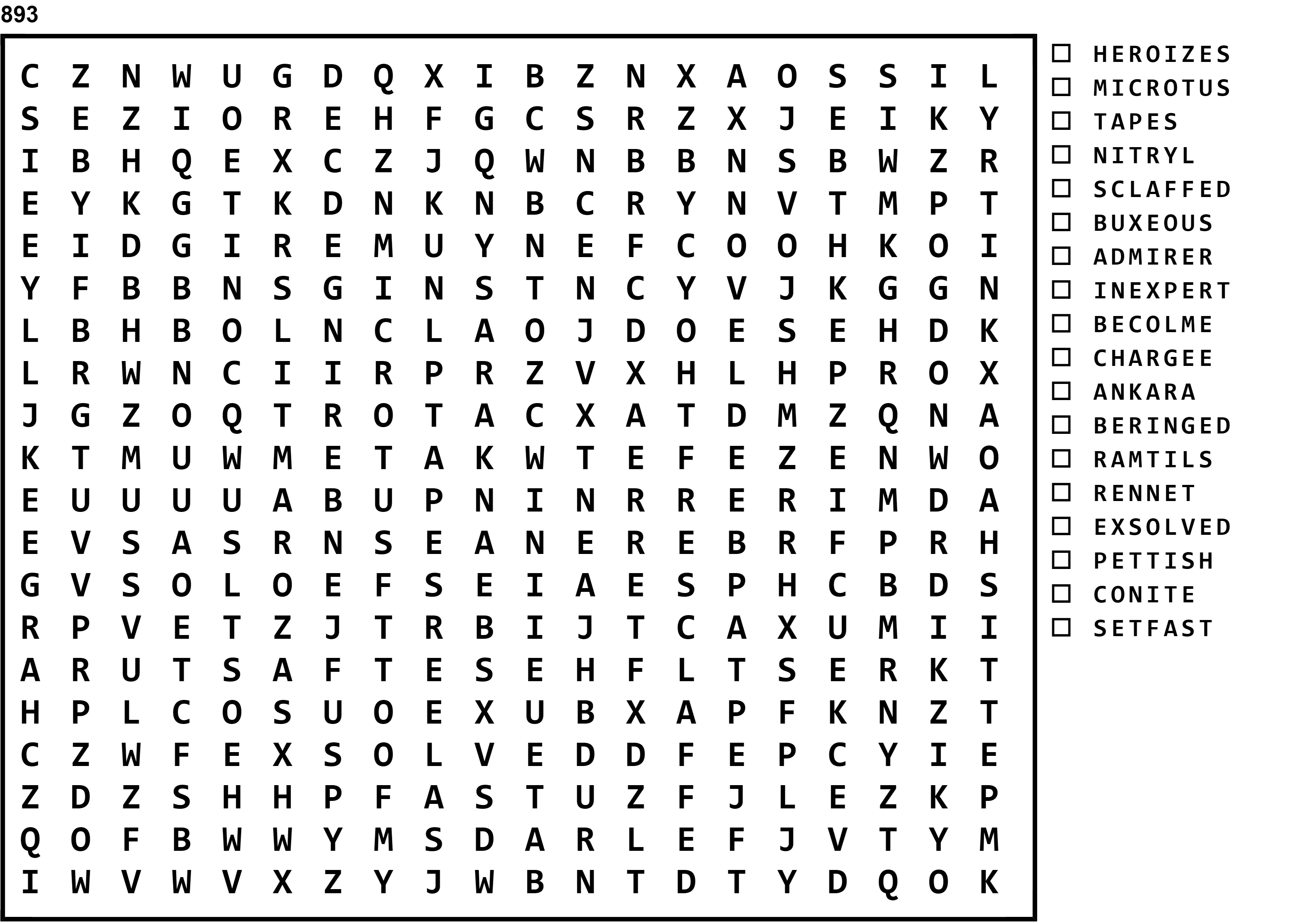 Word Search Puzzle Image