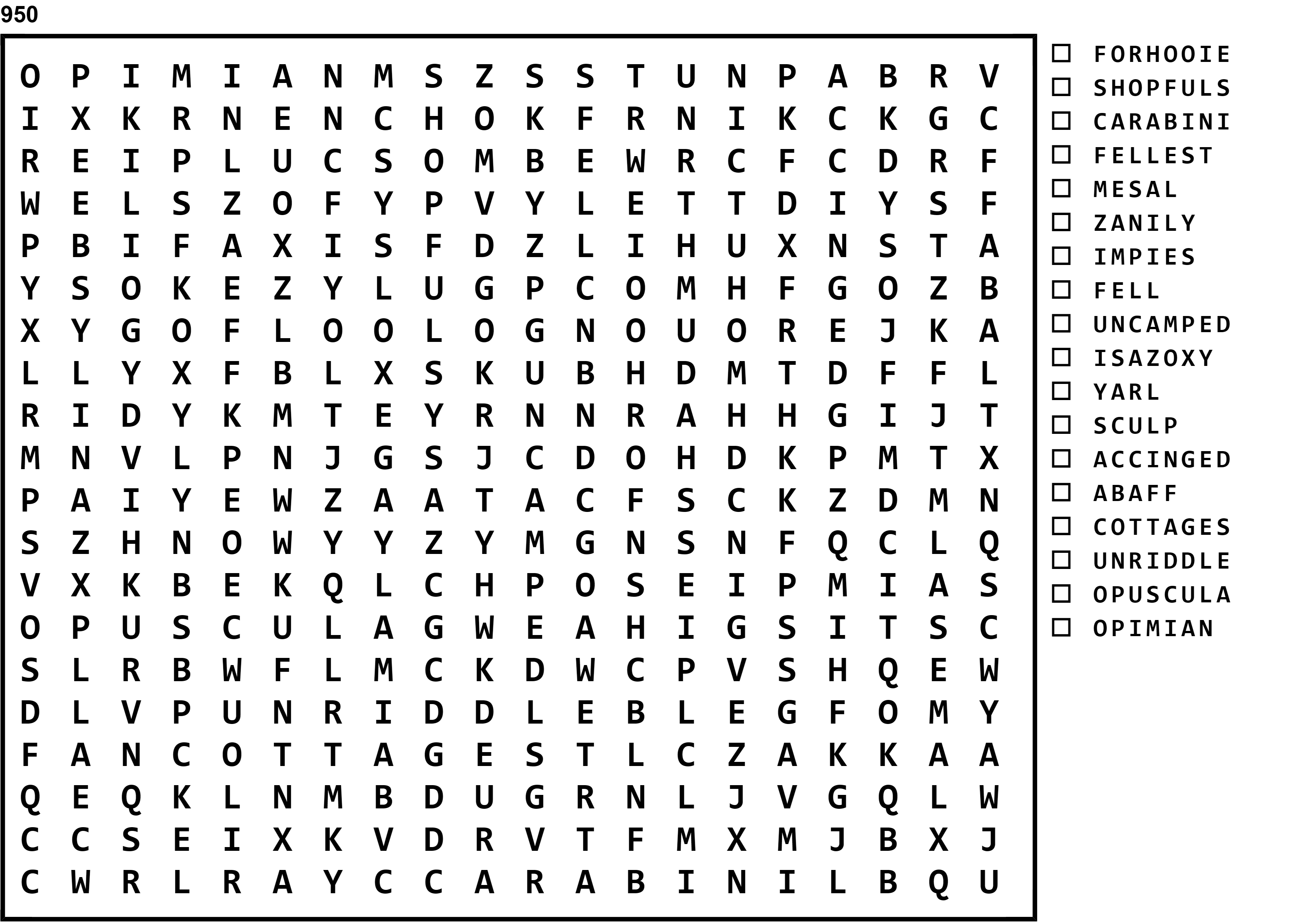 Word Search Puzzle Image