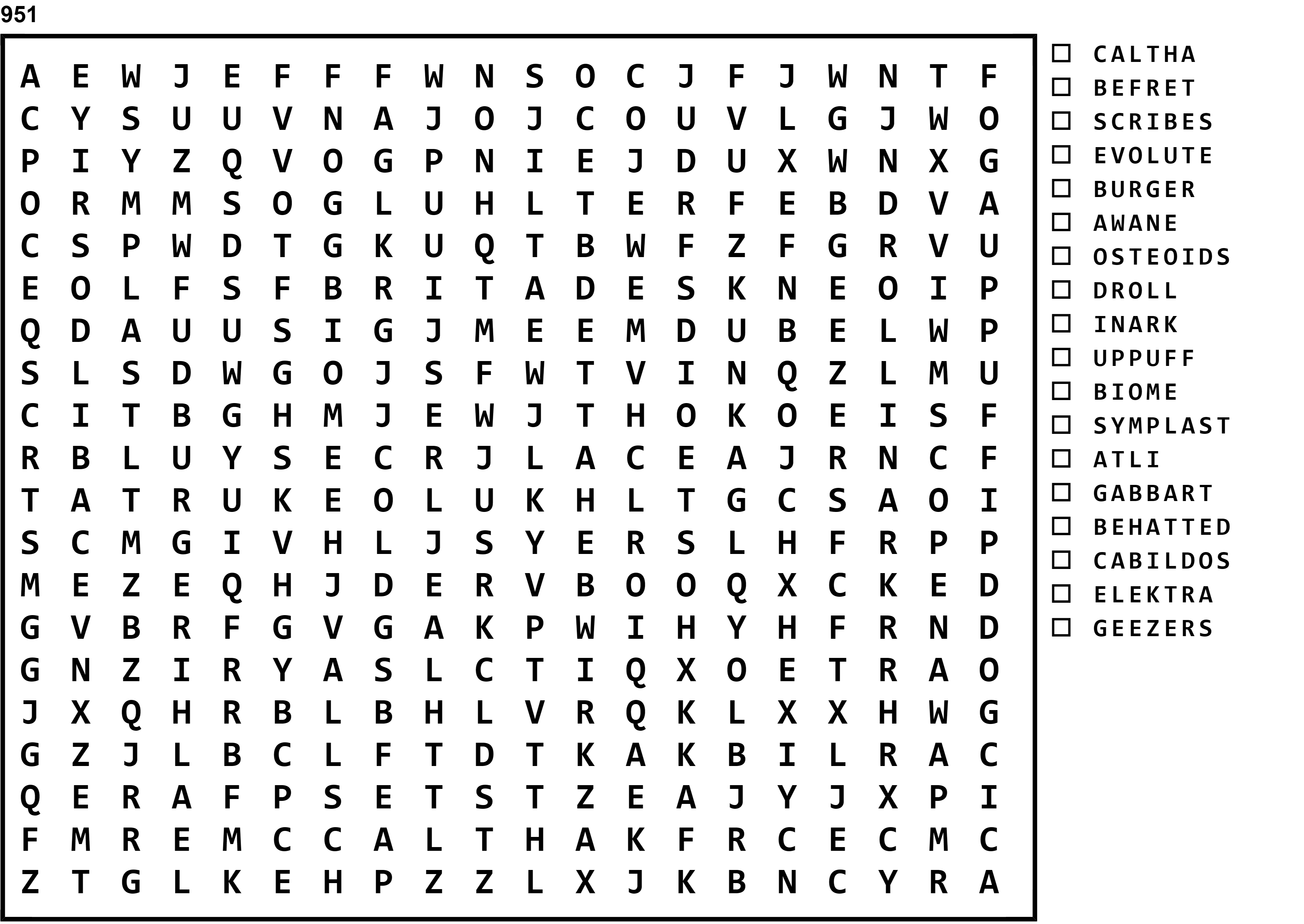 Word Search Puzzle Image