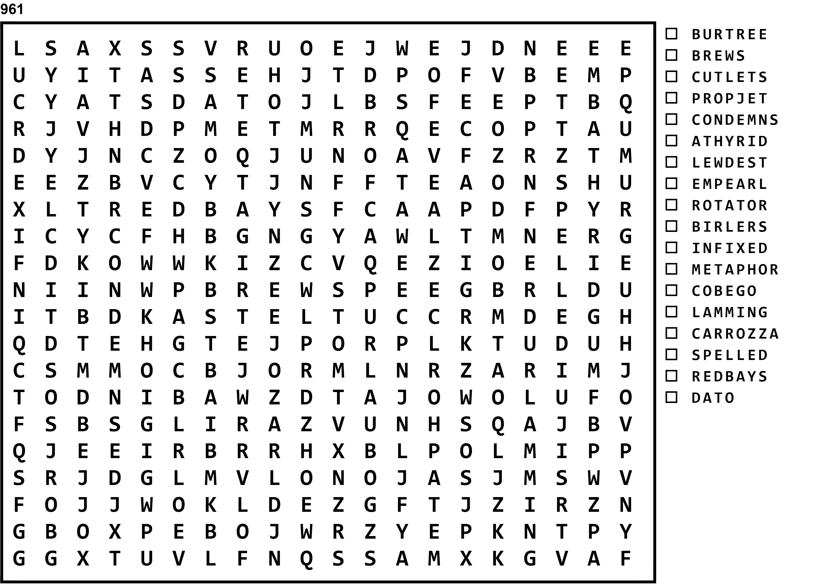 Word Search Puzzle Image
